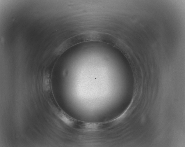 X0000083060144200702091514