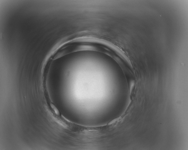 X0000083060150200702091513