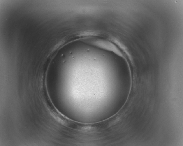 X0000083060153200702091513