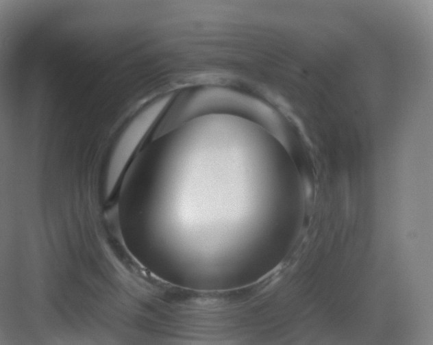 X0000083060154200702091513