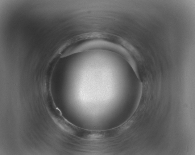 X0000083060158200702091513