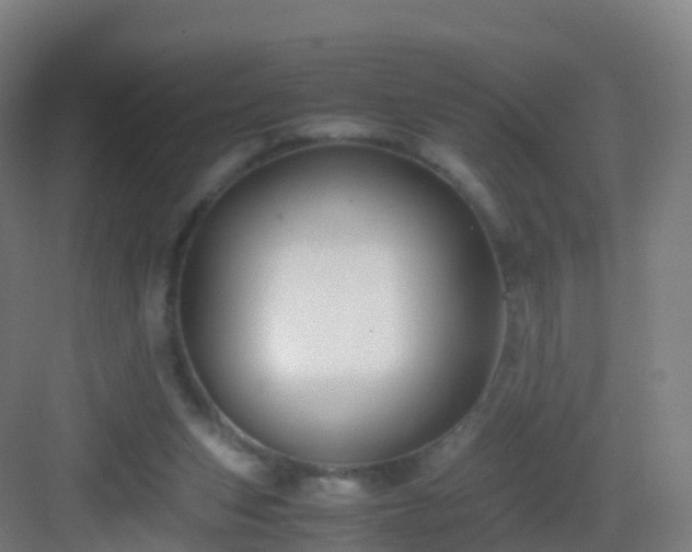 X0000083060159200702091513