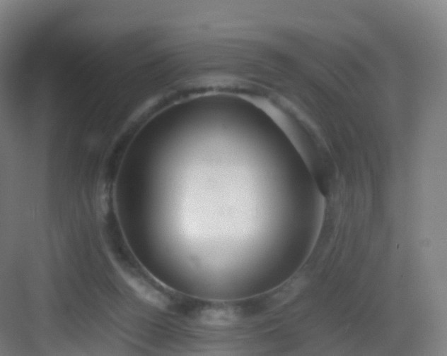 X0000083060160200702091513