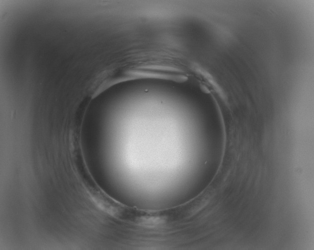 X0000083060161200702091513