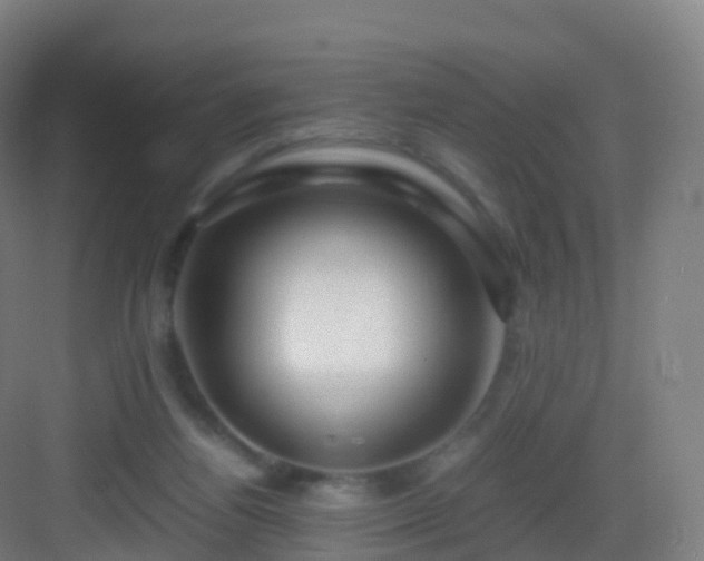 X0000083060164200702091513