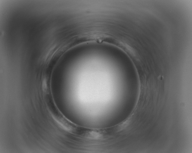 X0000083060166200702091513