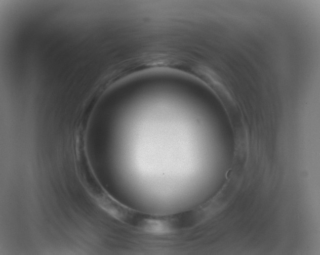 X0000083060167200702091514