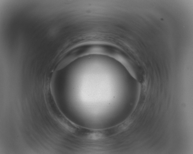 X0000083060168200702091514