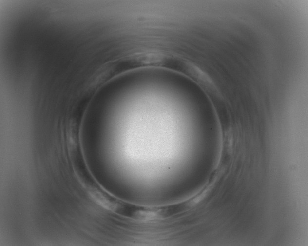 X0000083060170200702091514