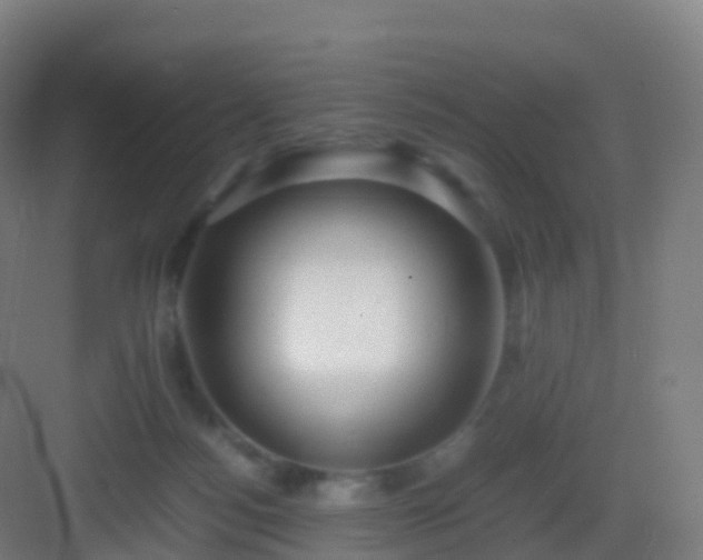 X0000083060172200702091514