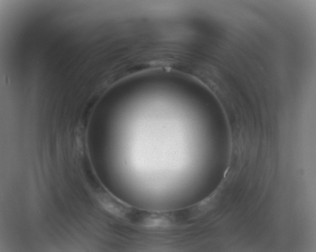 X0000083060175200702091514