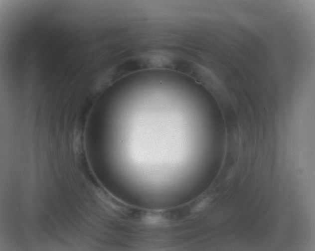 X0000083060177200702091514