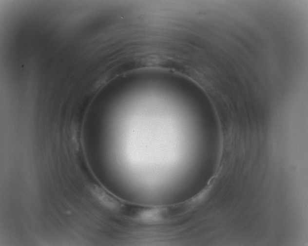 X0000083060178200702091514