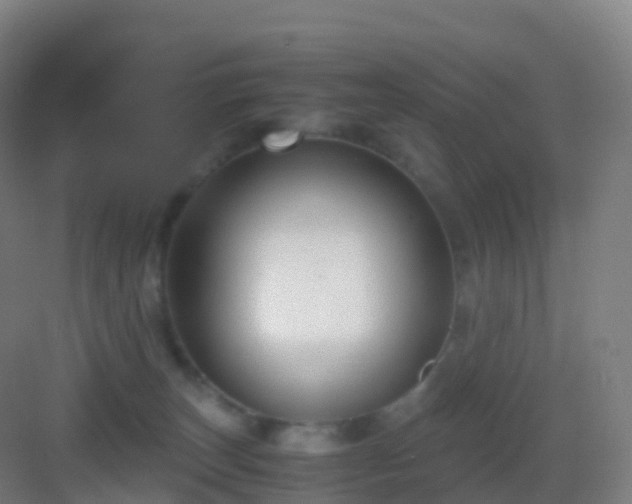 X0000083060179200702091514