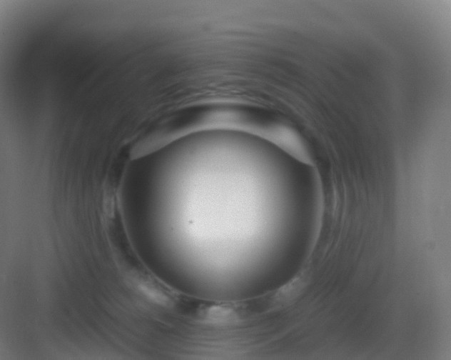 X0000083060180200702091514