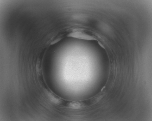 X0000083060181200702091514