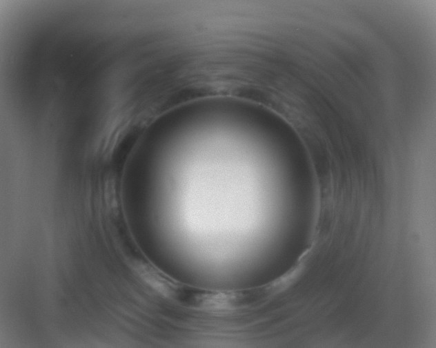 X0000083060182200702091514