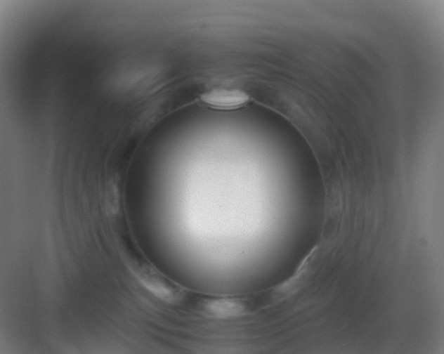 X0000083060183200702091514