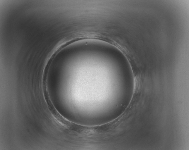 X0000083060195200702091513