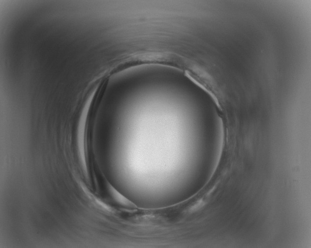 X0000083060201200702091513