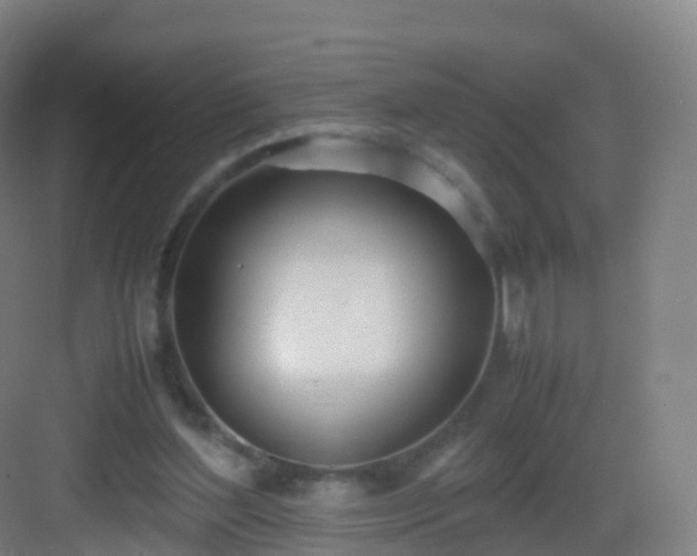 X0000083060204200702091513