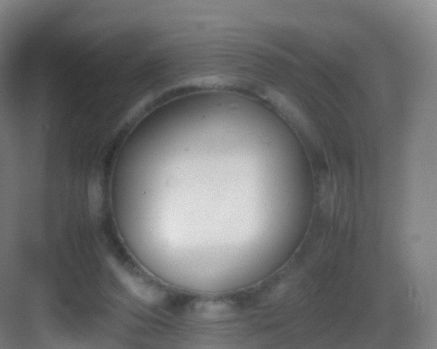X0000083060208200702091513