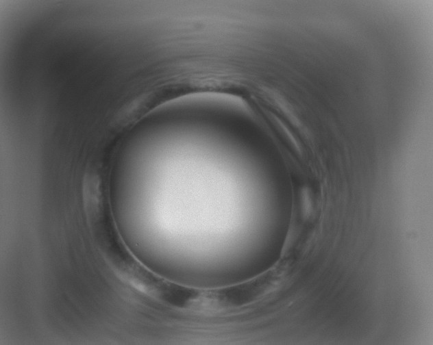 X0000083060211200702091513