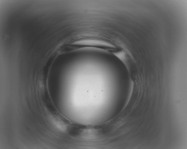 X0000083060212200702091513