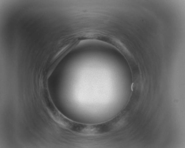 X0000083060213200702091513