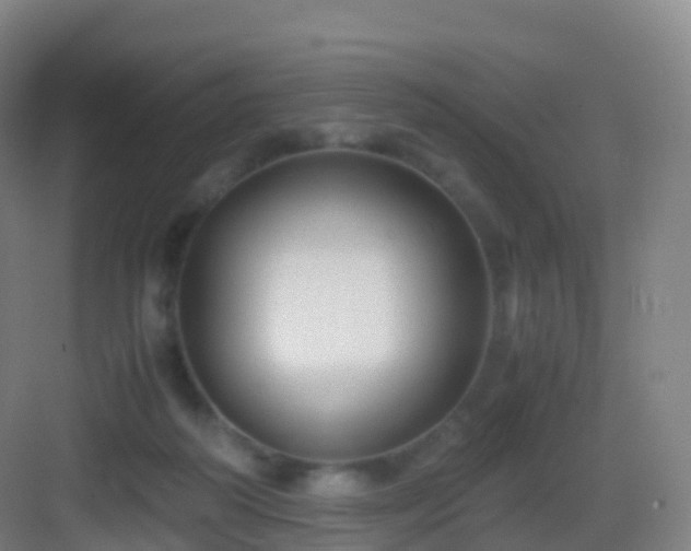 X0000083060218200702091513