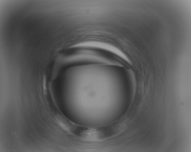 X0000083060219200702091513