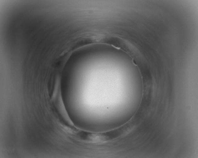 X0000083060221200702091513