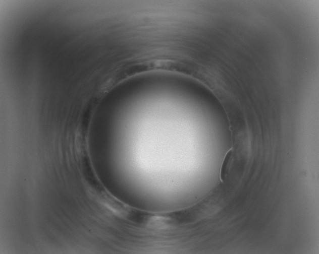 X0000083060222200702091513