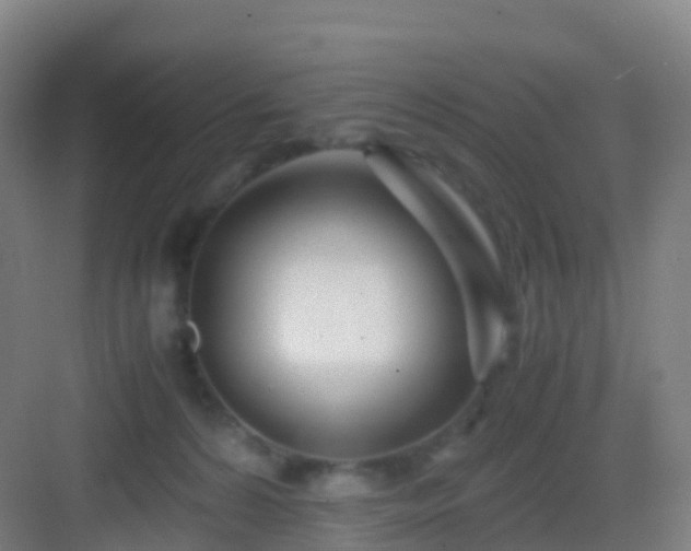 X0000083060224200702091513