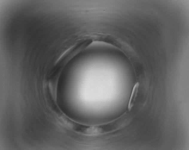 X0000083060225200702091513