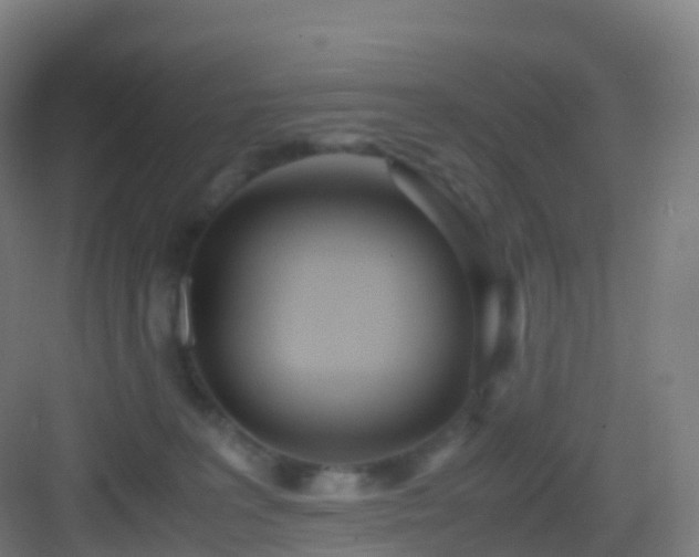 X0000083060227200702091513