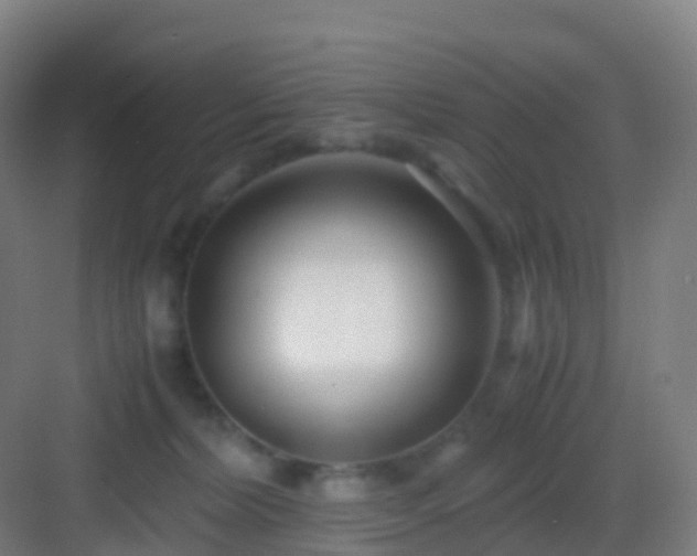 X0000083060228200702091513