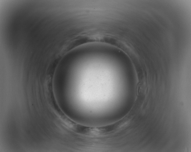 X0000083060229200702091513
