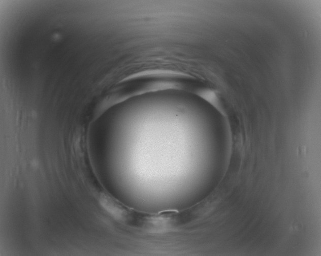 X0000083060233200702091512