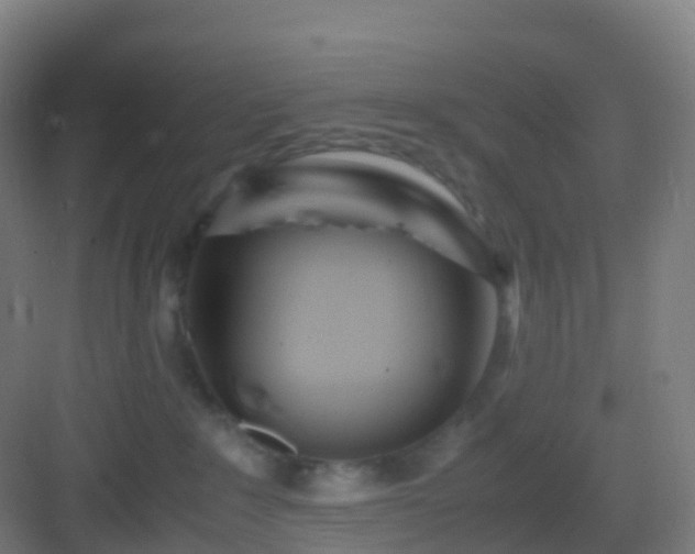X0000083060235200702091512