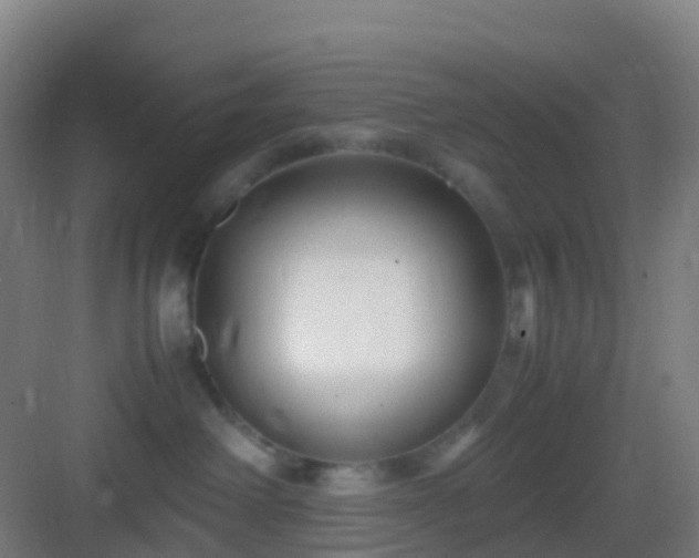 X0000083060238200702091512