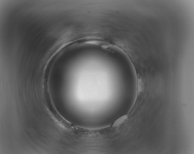 X0000083060243200702091512