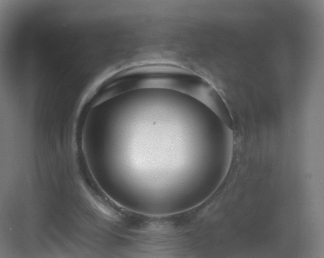 X0000083060248200702091512