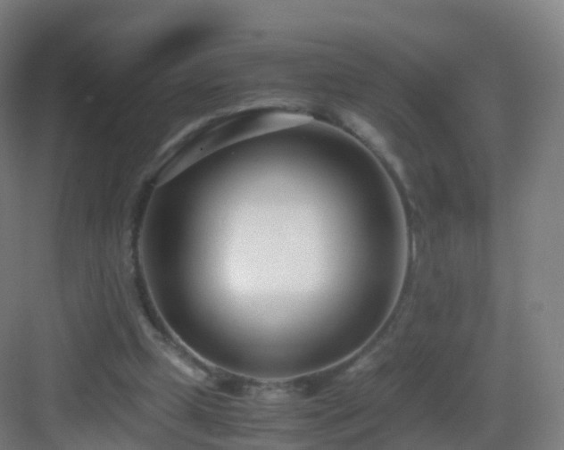 X0000083060249200702091512