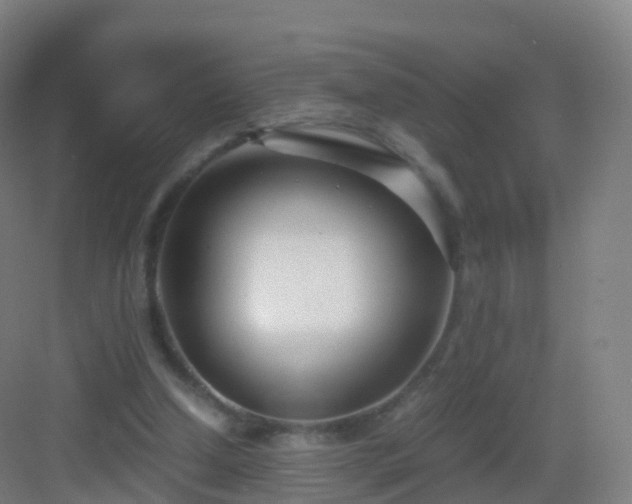 X0000083060250200702091512