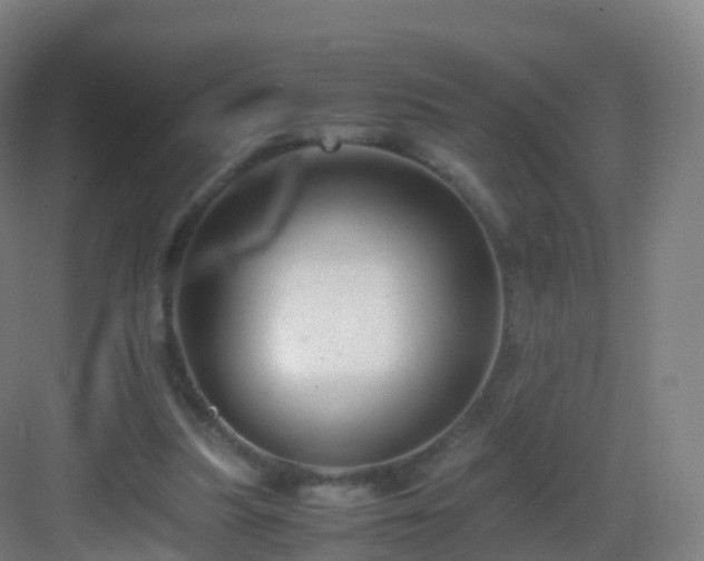 X0000083060251200702091512