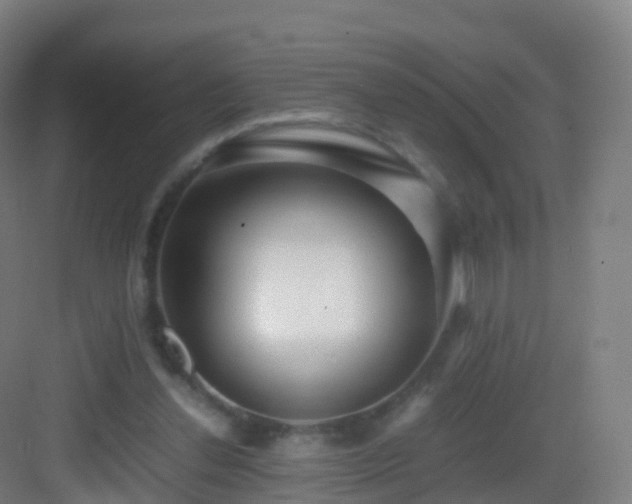 X0000083060252200702091512