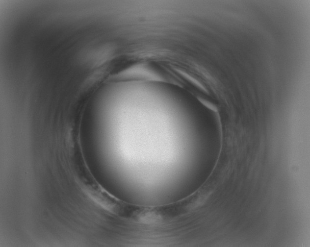 X0000083060258200702091512