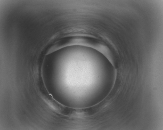 X0000083060260200702091512