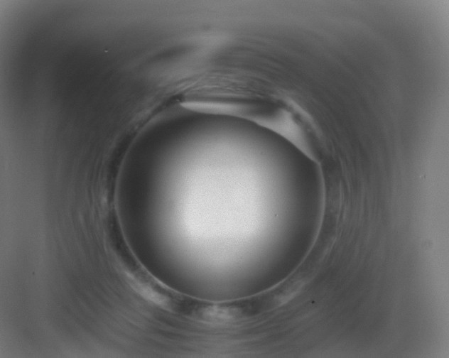 X0000083060261200702091512